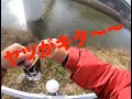 バス釣り「クリーク」