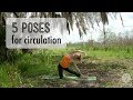 5 Poses for circulation
