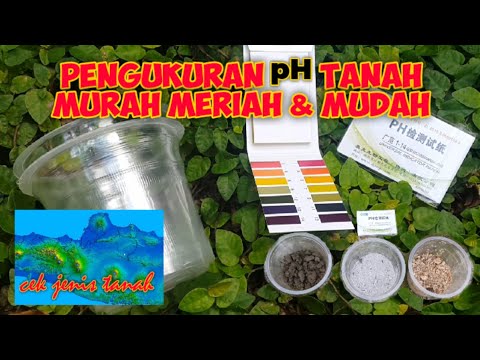 Video: Bagaimanakah anda mencari pH kertas litmus?