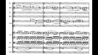 Lekeu - Fantaisie pour orchestre sur deux airs populaires angevins (1892)