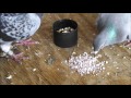 Starting to raise pigeons  basic starter care advice