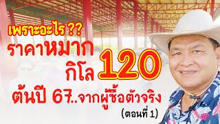 เพราะอะไร? ราคาหมาก กิโล120 ต้นปี 67...ฟังจากผู้ซื้อตัวจริง