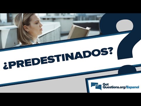 ¿Qué es la