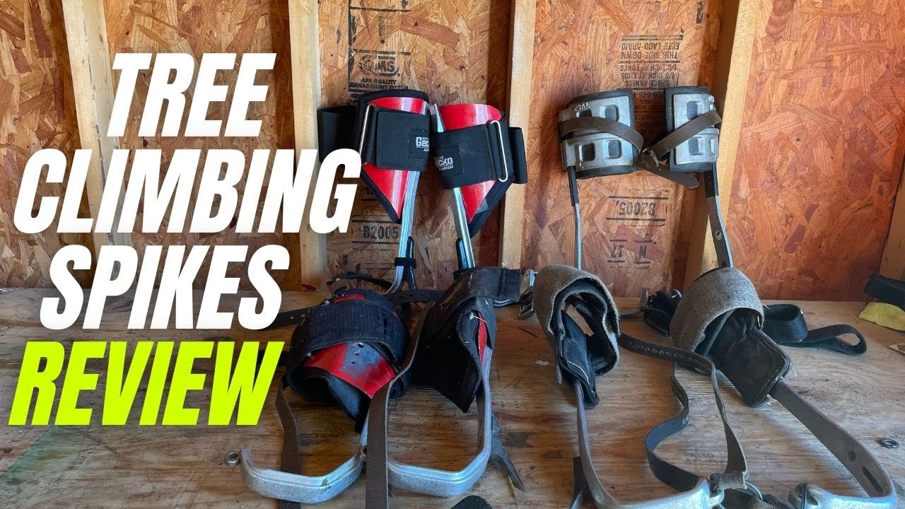 Tree Climbing Spikes/Spurs Review  Which one should you buy? 