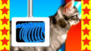 МУЛЬТИКИ ПРО ЖИВОТНЫХ. ДОКТОР ЛЕЧИТ СОБАКУ И КОШКУ. МУЛЬТИКИ Для Девочек И Мальчиков. МУЛЬТИКИ ПРО ЖИВОТНЫХ. ДОКТОР ЛЕЧИТ СОБАКУ И КОШКУ. МУЛЬТИКИ Для Девочек И Мальчиков.