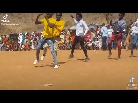 Qophii Bashanansiisofi Barsiiso Ebaa Ispoortii Taekwondo Aannaa Mayuu Muluqee Irraati Daawadha