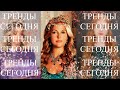 Тренды сегодня №17| Александра! Я Хюррем! Ненавижу ваш гарем!  | Великолепный век | тик-ток