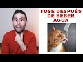 ¿Por qué mi gato tose después de beber agua?