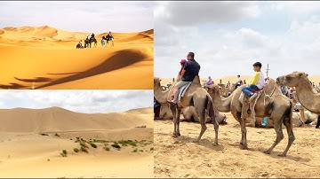 Khám Phá Sa Mạc GOBI: Cưỡi Lạc Đà Hai Bướu Trên Sa Mạc Vọng Âm - Sa Mạc Lớn Nhất Châu Á ở MÔNG CỔ