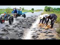 Unique Catching A lot Big Catfish on the Road Flooded by 2Brother - Amazing Fishing in Season Flood