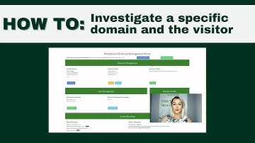 LucidView - How to investigate a specific domain and the visitor