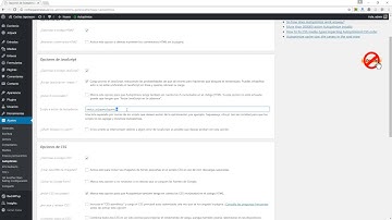 Configuración de Autoptimize para WordPress.