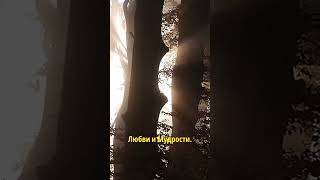 Молитва для тех, кто чувствует: начинается важное время #elanuko #душа #молитва #карма #медитация