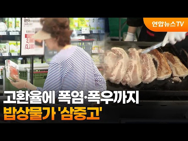고환율에 폭염·폭우까지…밥상물가 '삼중고' / 연합뉴스TV (YonhapnewsTV)