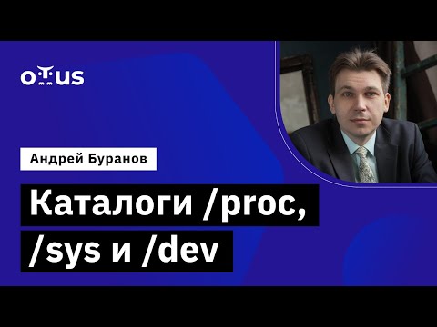 Каталоги /proc, /sys и /dev // Демо-занятие курса «Administrator Linux. Professional»