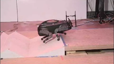 LittleDog: Quadruped Locomotion on Rough Terrain