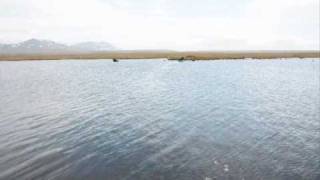 Eider Down Collection