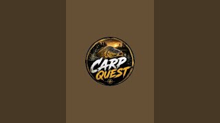 Carp Quest is live fishing catfish and carp UK