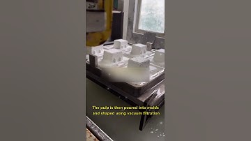 Introduction to the Paper Pulp Molding Process.