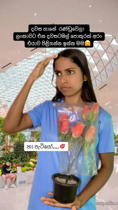 හා පැටියෝ කොහොමද💋😁#subscribe💐#funny#comedy#viral#trending#shorts#viralvideo#viralshorts#airport#