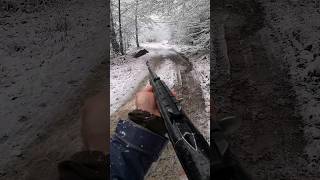 Doublé de sanglier sous la neige #hunting #cinghiale #jabali #chasse #wildboar #battue