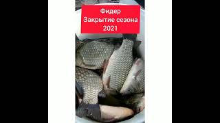 Фидер. Закрыл сезон 2021 #shorts