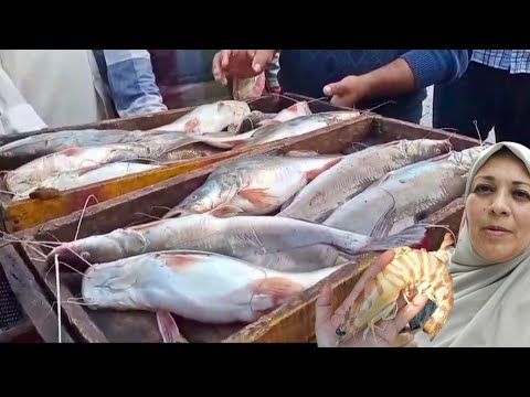 نزول أسعار السمك والجمبري مزادات المعدية طوالي ٣ك