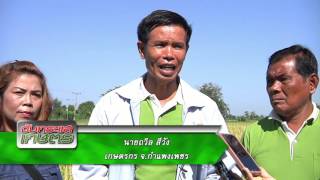 รายการคนไทยหัวใจเกษตร  วันที่ 22 ธันวาคม 2558 B2