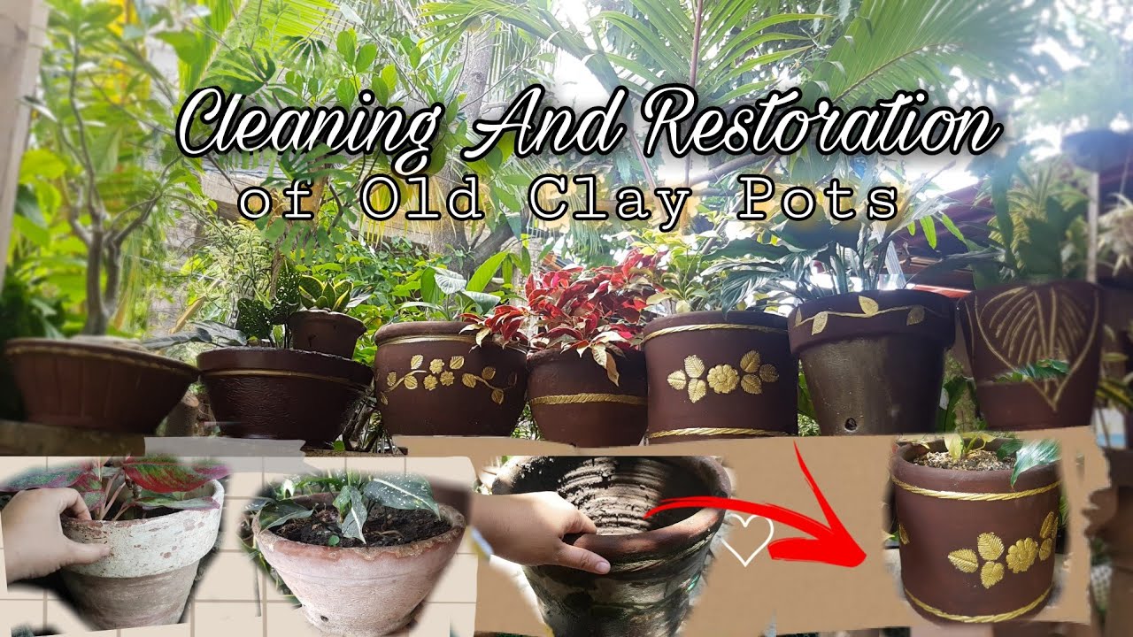Cleaning and Restoration of Old Clay Pots (Terracotta Pots and Planters