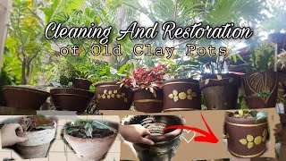 Cleaning and Restoration of Old Clay Pots (Terracotta Pots and Planters)