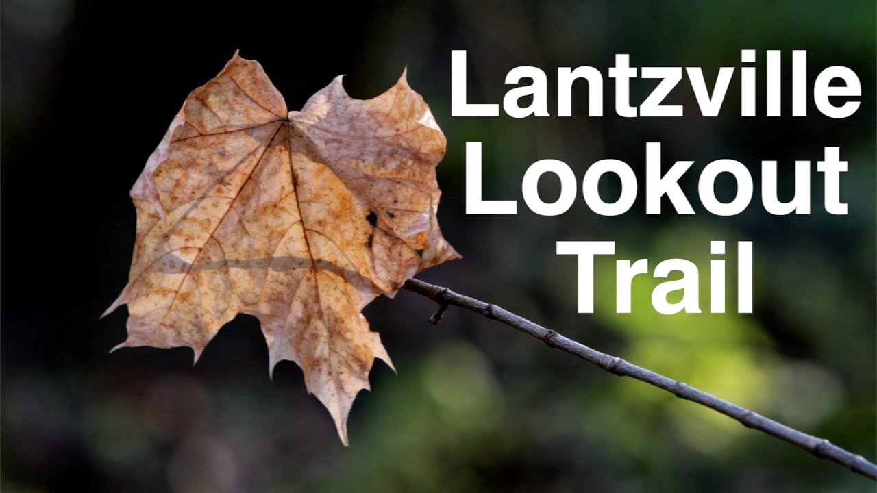 Best Hike - Lantzville Lookout, Nanaimo