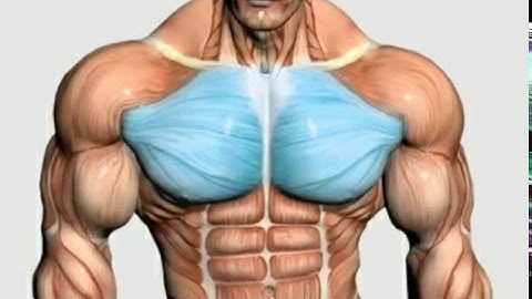 Wide Grip Decline Barbell Bench Press Exercise