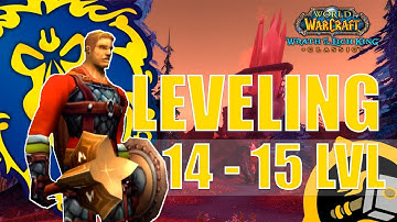 WOTLK Leveling Alliance Guide (Paladin) [14-15] One hour of play WoW [4K,ASMR]