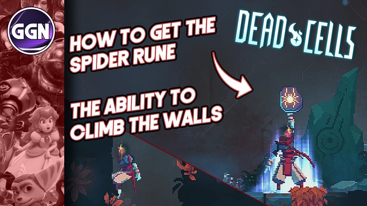 How to get the Spider Rune | the Ability to climb the walls | Dead Cells - YouTube