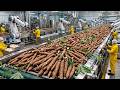 Inside the Factory: Giant Cassava Flour Process in the United States – Full Step‑by‑Step Production