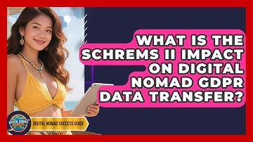 What Is The Schrems II Impact On Digital Nomad GDPR Data Transfer? - Digital Nomad Success Guide