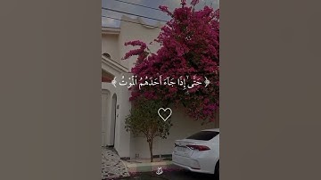 وقل ربي أعوذ بك من همزات الشياطين وأن يحضرون #quran #تلاوة_خاشعة #القرآن_الكريم #islam