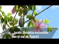 Jardn botnico escondido en el sur de bogot  tvagro por juan gonzalo angel restrepo