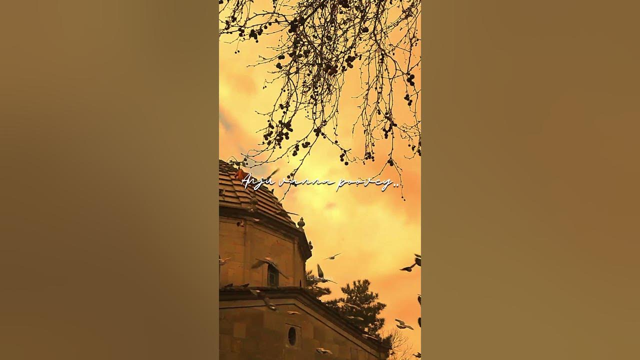 Anju vanna poove..🍃🕊️ #whatsappstatus #arrahman #thuglife #movie #songs #status