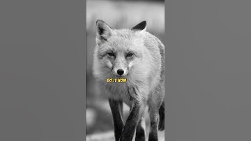 Crush Procrastination Instantly with This 2-Minute Hack!