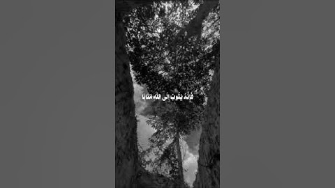 🤍#quran #سورة_الفرقان #اكسبلور #allah #لايك #explore #قران_كريم #makkah #shortvideo #support #لايك