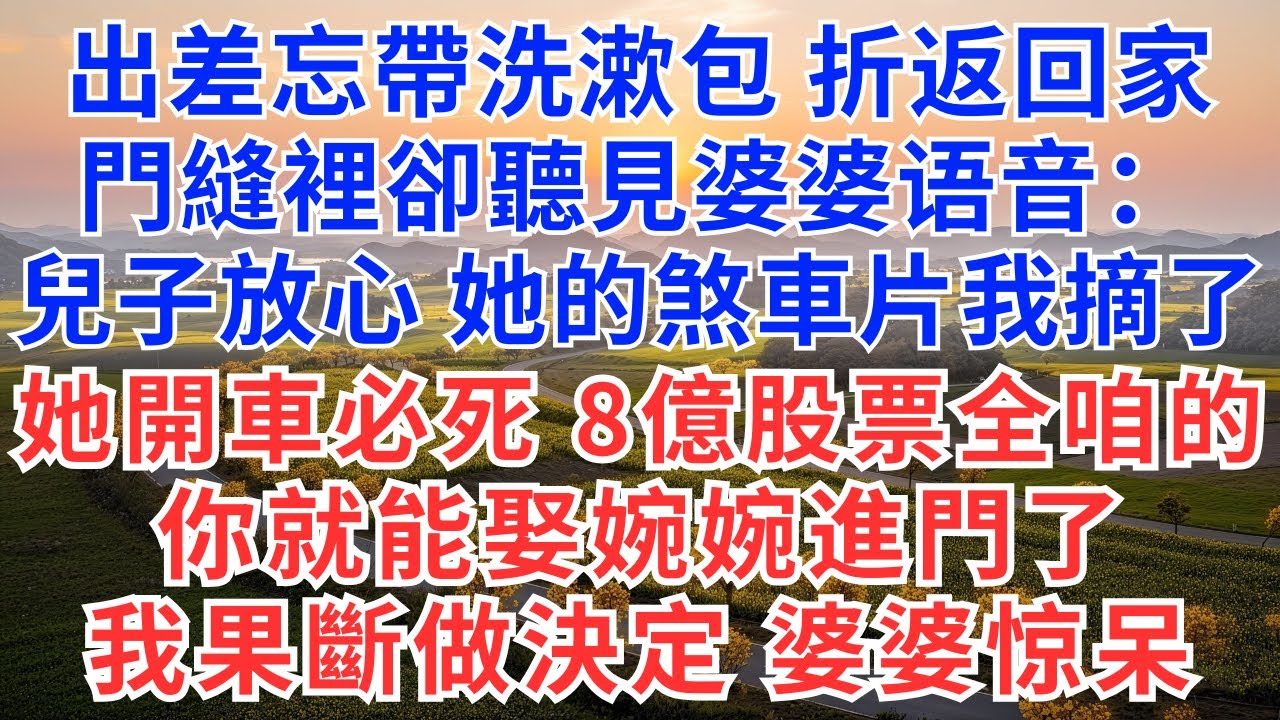 出差忘帶洗漱包 折返回家門縫裡卻聽見婆婆语音：兒子放心 她的煞車片我摘了她開車必死 8億股票全是咱的你就能娶婉婉進門了我果斷做決定 婆婆惊呆！#中老年生活#為人處世#生活經驗#情感故事#幸福人生#故事