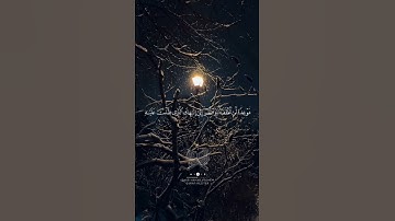 من الآية 95 إلى الآية 98 من #سورة_طه
