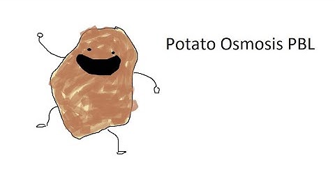 Potato Osmosis - STEM SOS PBL