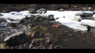 Amity Creek with ice