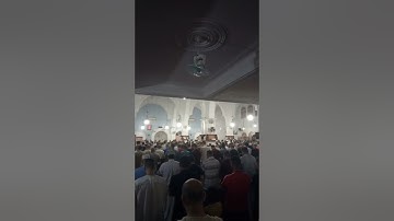 تلاوة خاشعة من سورة الرحمان للقارئ محمد شيحات