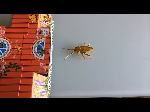 折り紙 ゴキブリ Origami Cockroach Youtube