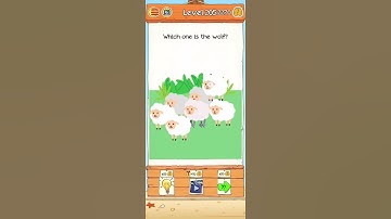 Braindom 2 Level 205 walkthrough solution