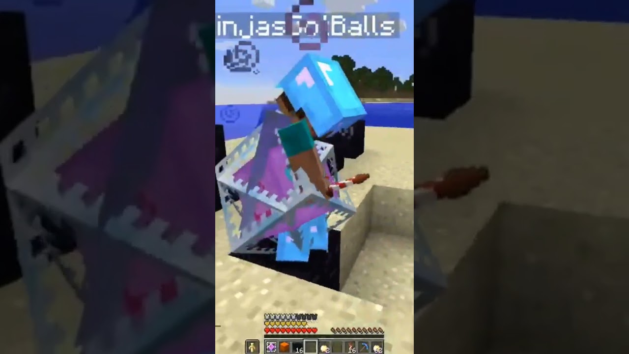 Fitmc Blows Up Ninja in 2b2t