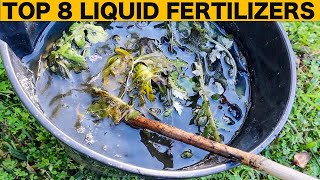 Why Buy Fertilizers? Make These 8 Powerful Liquids at Home.